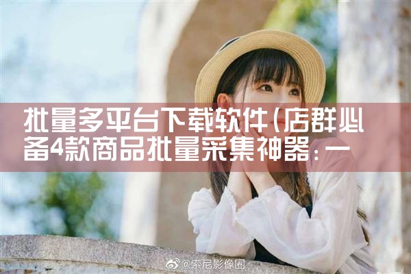 批量多平台下载软件|哔咔漫画