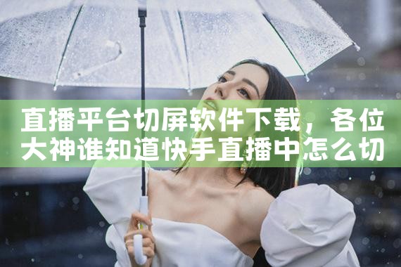 直播平台切屏软件下载|小蓝视频
