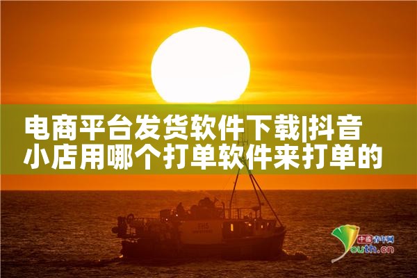 电商平台发货软件下载|小蓝视频