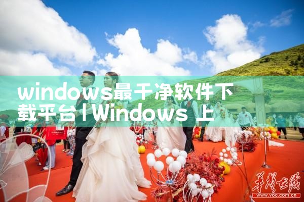 windows最干净软件下载平台|小蓝视频
